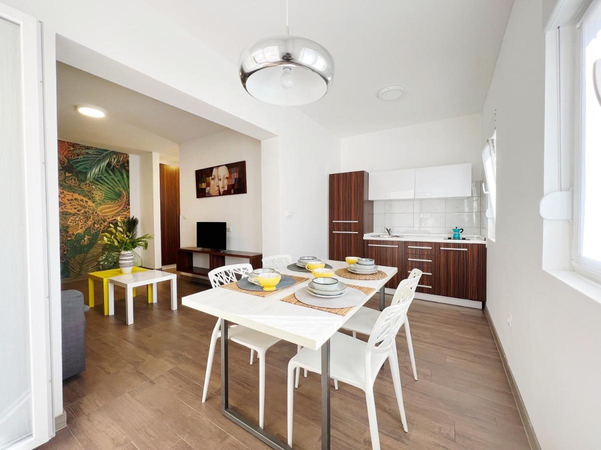 Apartments Teodora Maria Novigrad Istria Eksteriør bilde